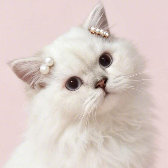 𝓹𝓮𝓪𝓬𝓮ʚ🧸ྀིɞ