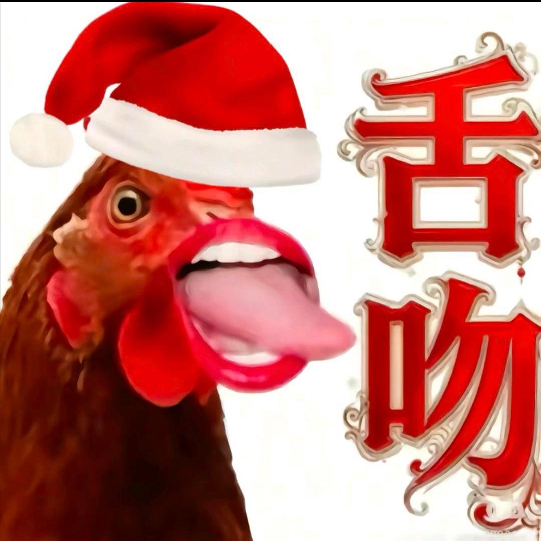 雨夜喂鸡遇见真爱