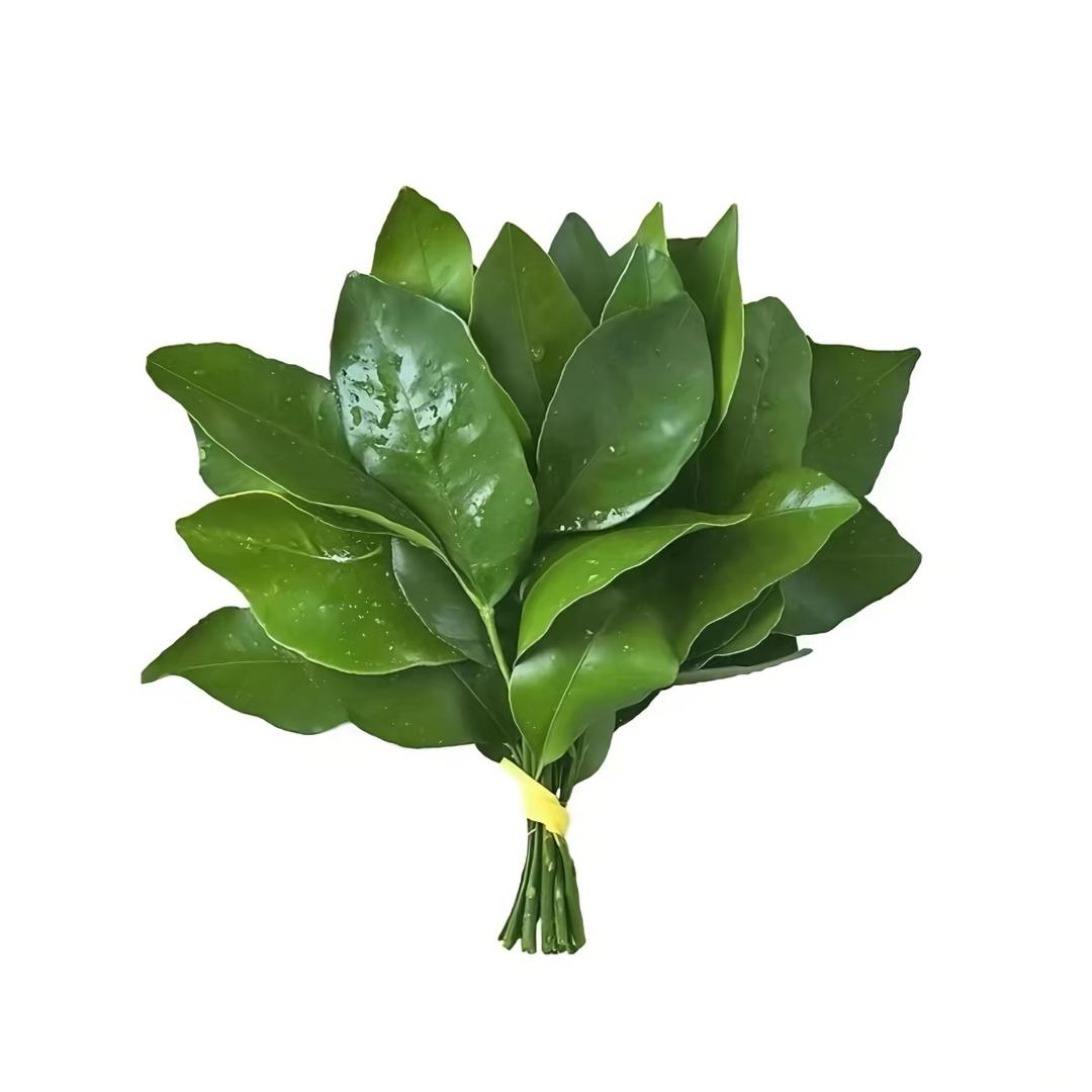 鄧斤