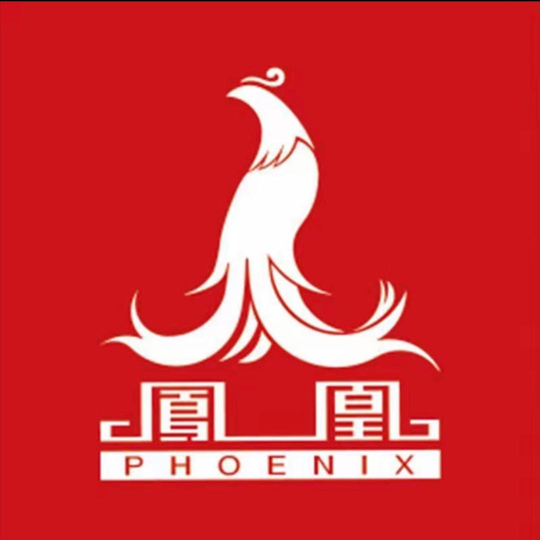凤凰电动车新品发布