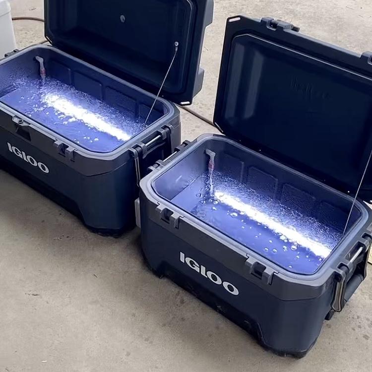 牛牛活鱼增氧箱