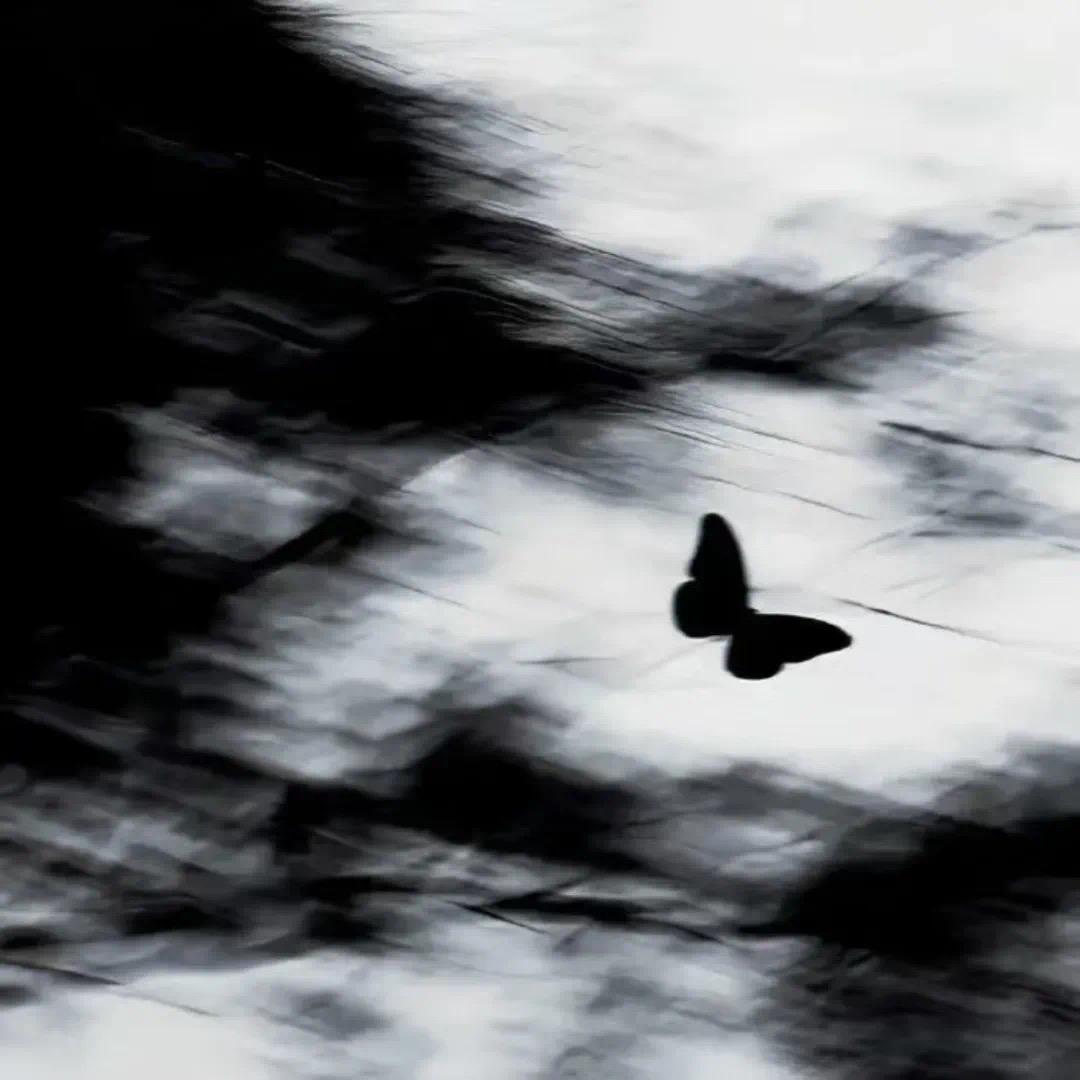 -7Kio.