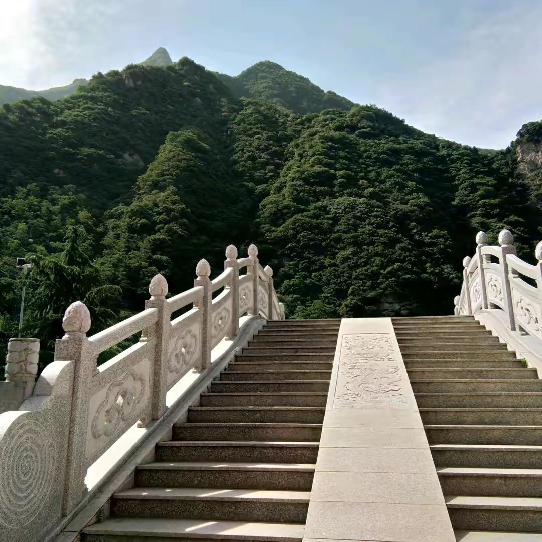 我不想她了