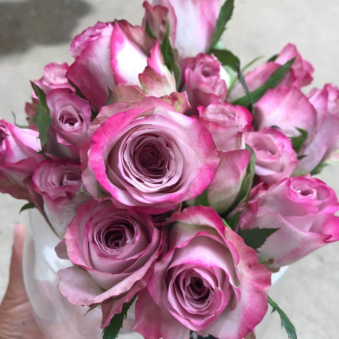 春霏阁花卉园艺