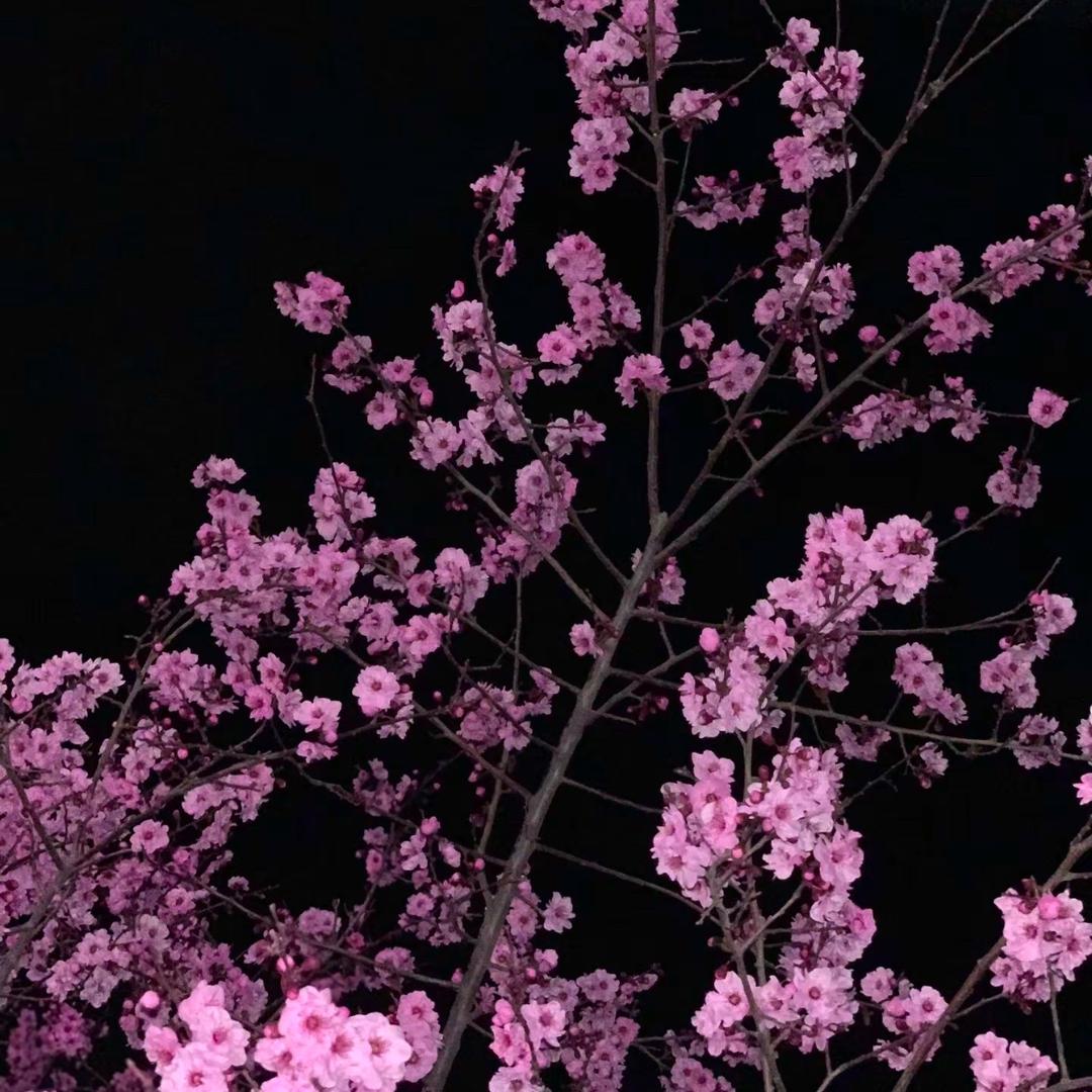 喜歡