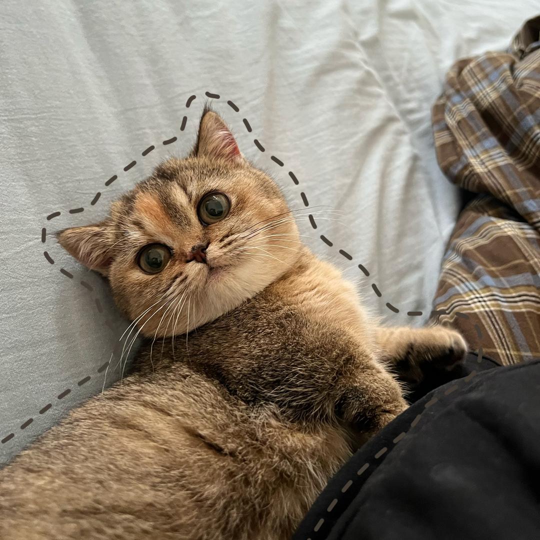 無。