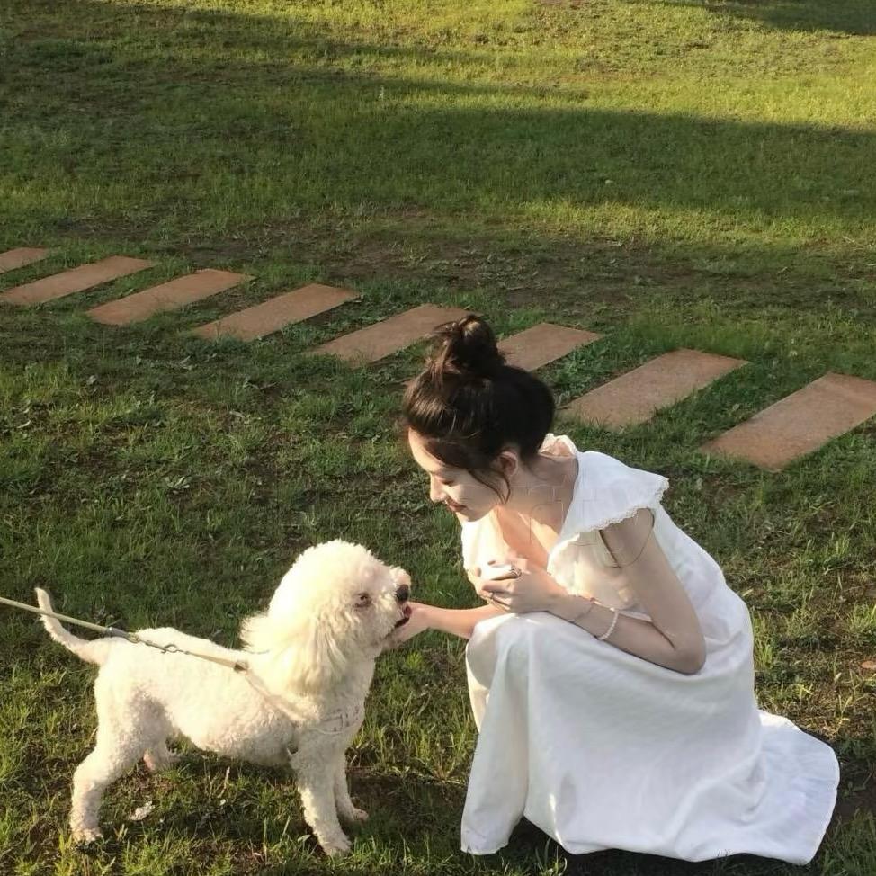Huihui.