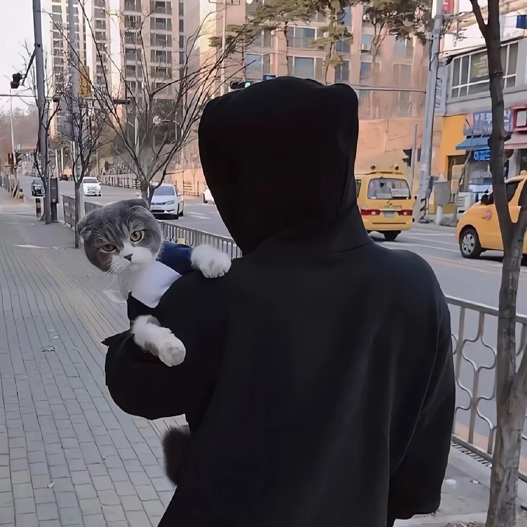 陈耀扬