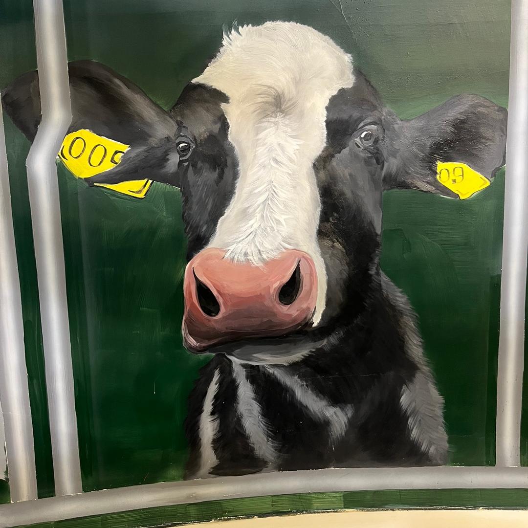 牛肉煲汤