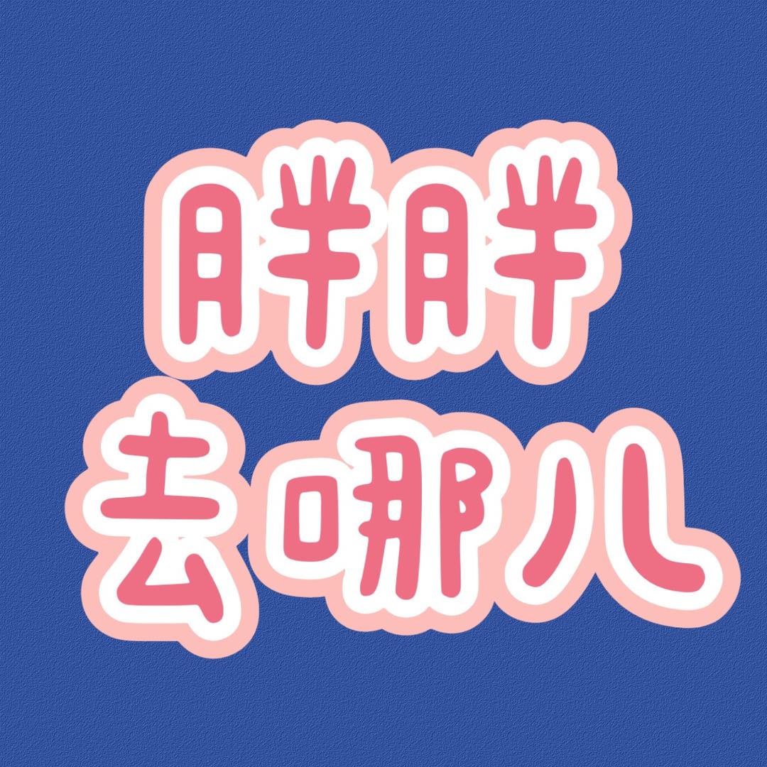 胖胖去哪儿二店