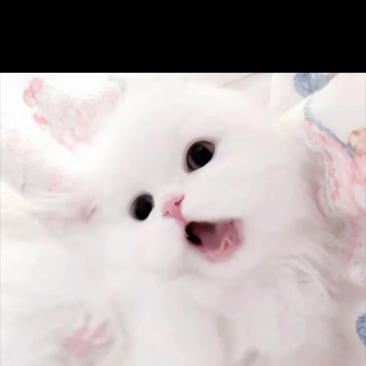 南桉贸易创意屋