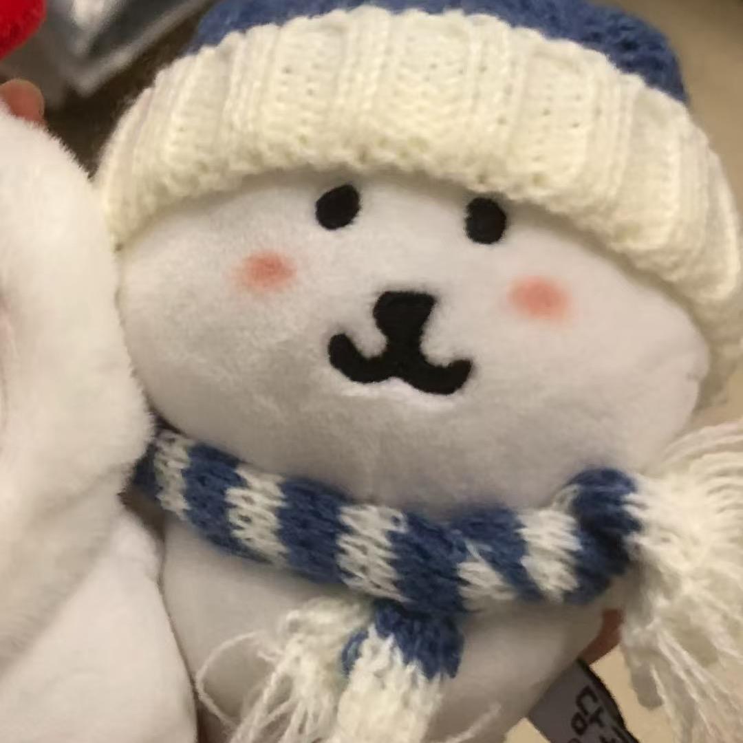 阳光老熊