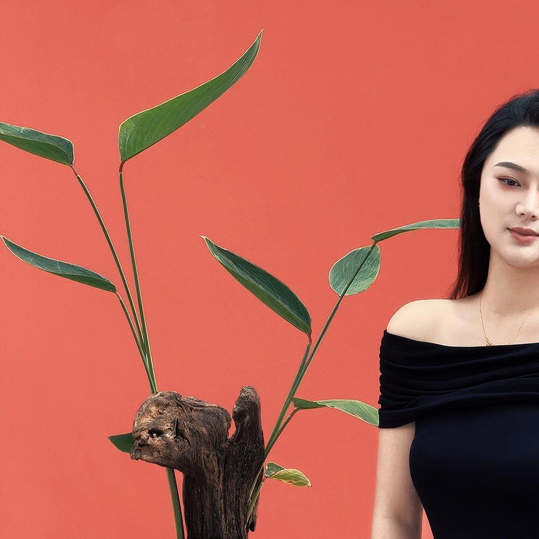 南柯一梦🥥