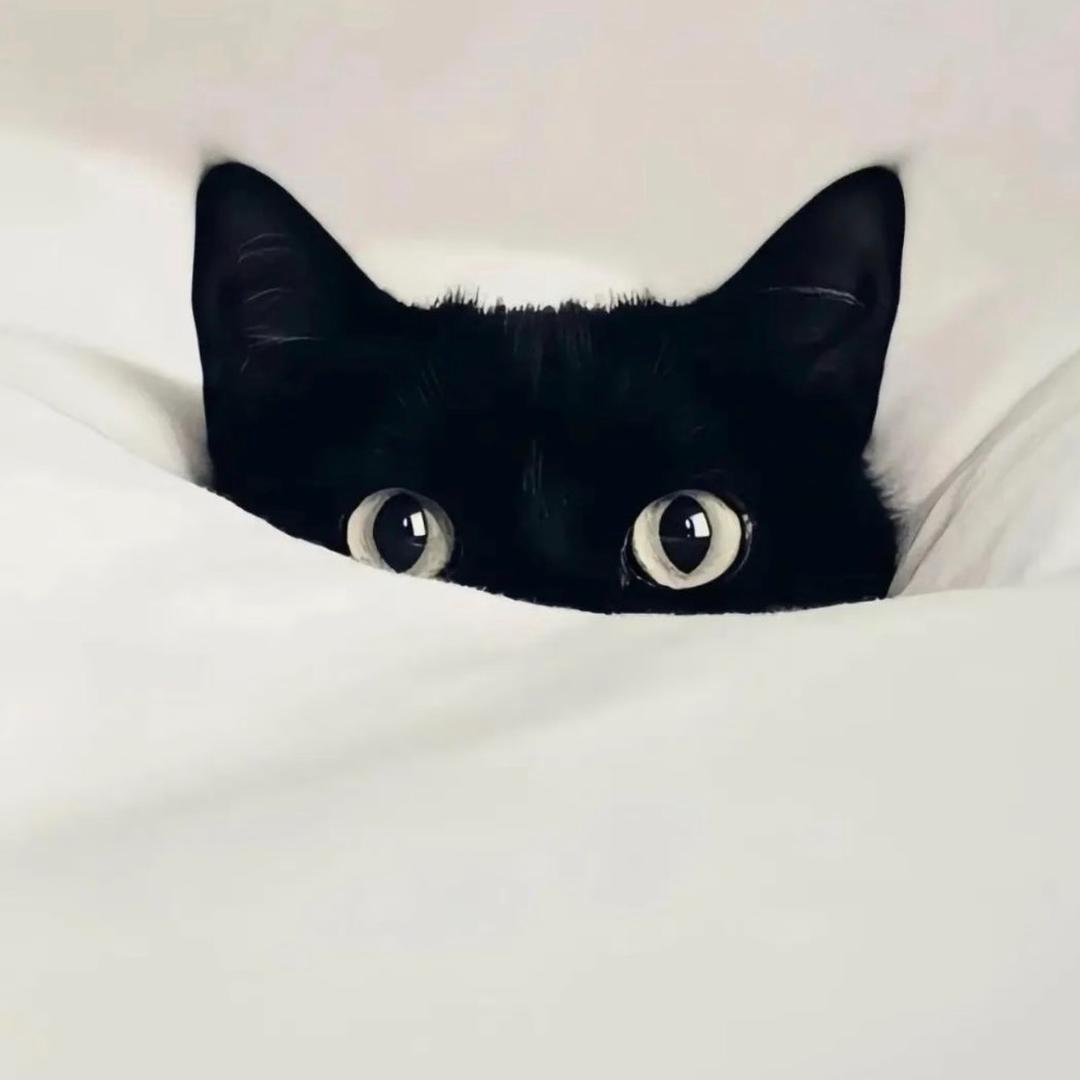 ı|又困ˡᵃ🥃ı||ııı