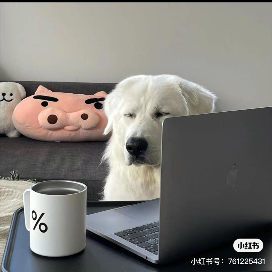 林大苟不是狗