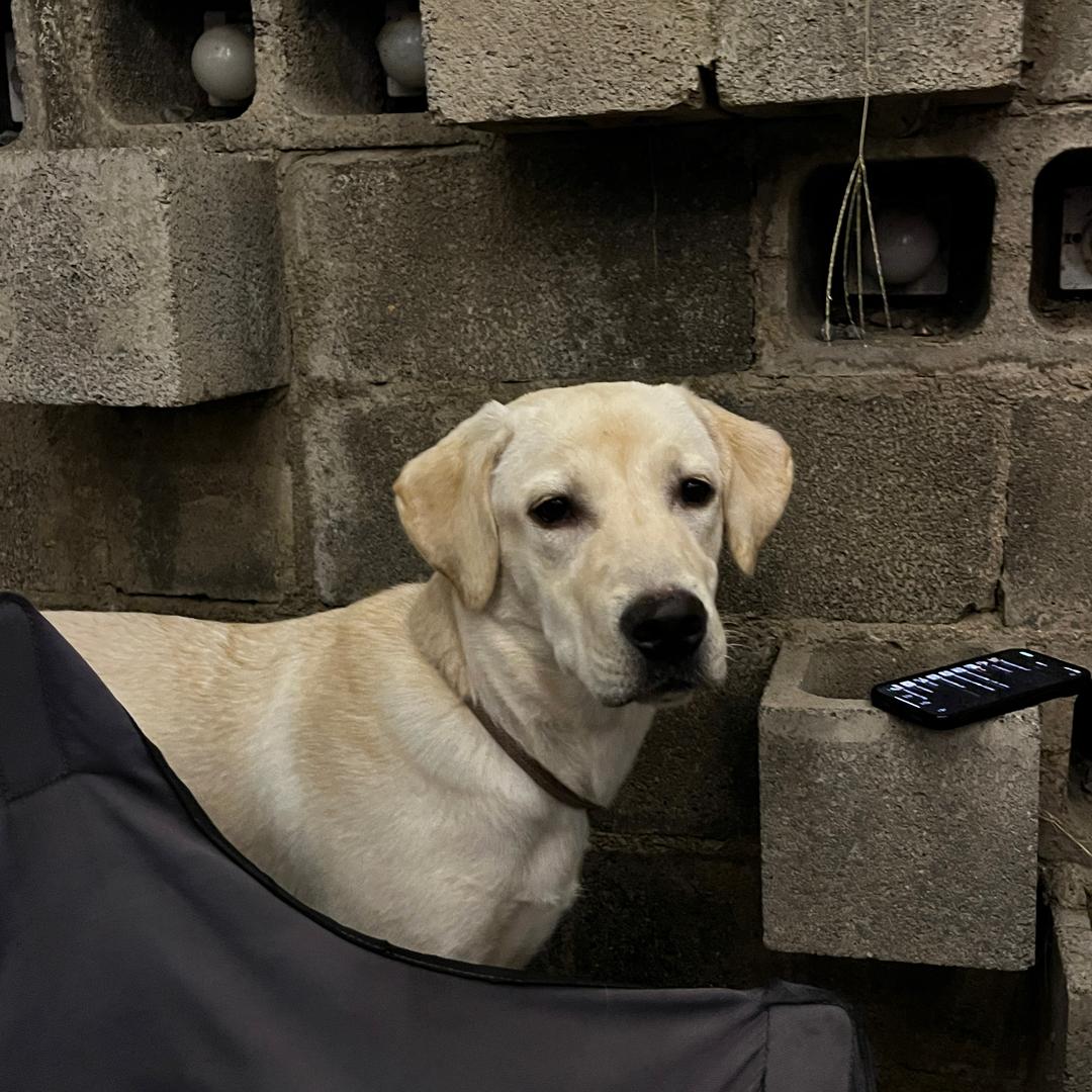 薯条不能吃ㅤㅤ🏂