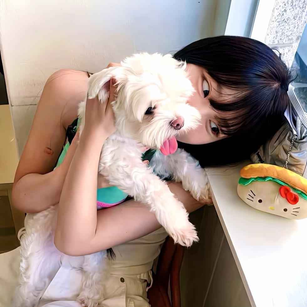 串串（Puff kitty）