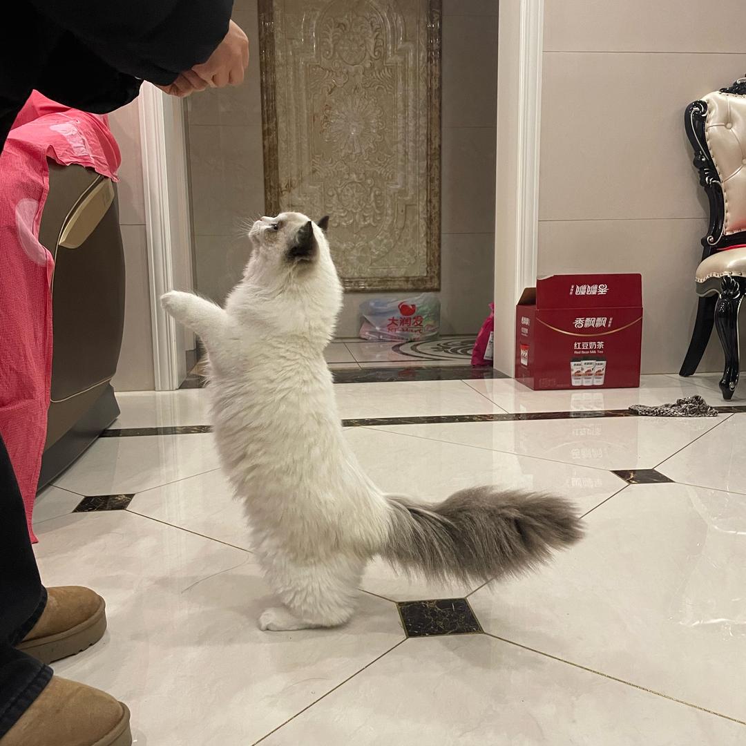美妮梦