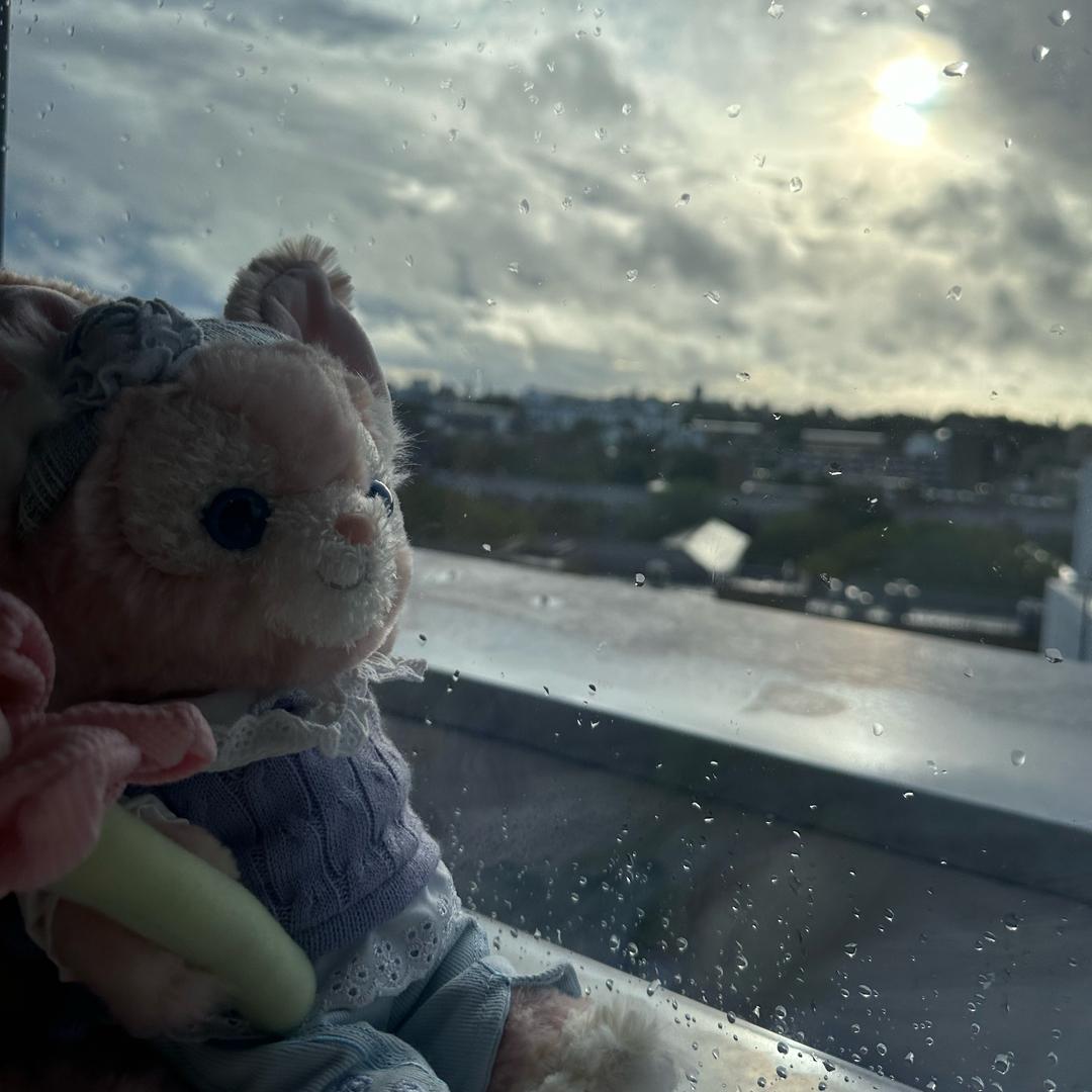 情绪敏感母蟑螂