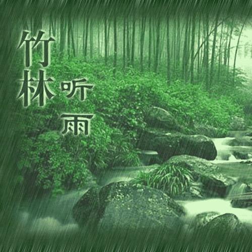 林中雨声
