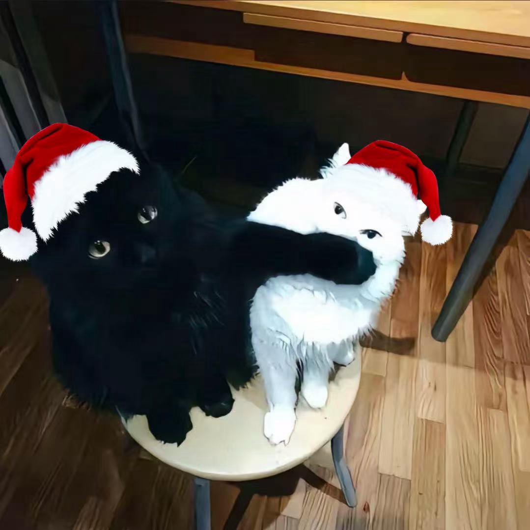 我的开心天下第一