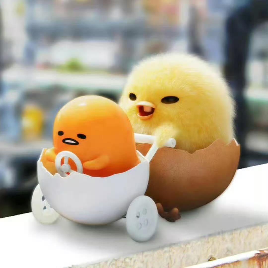 煎饺丸子西东狗