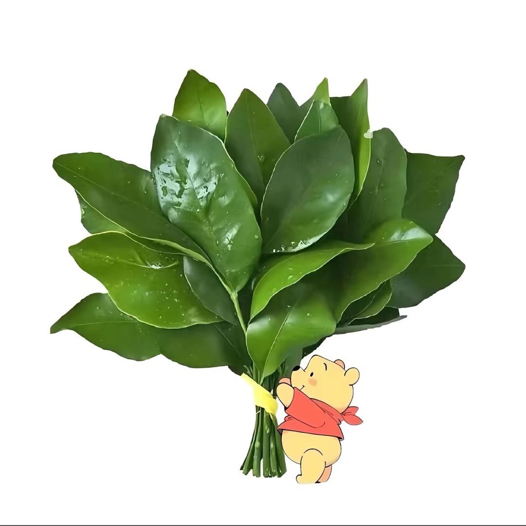 尔尔（带娃中）