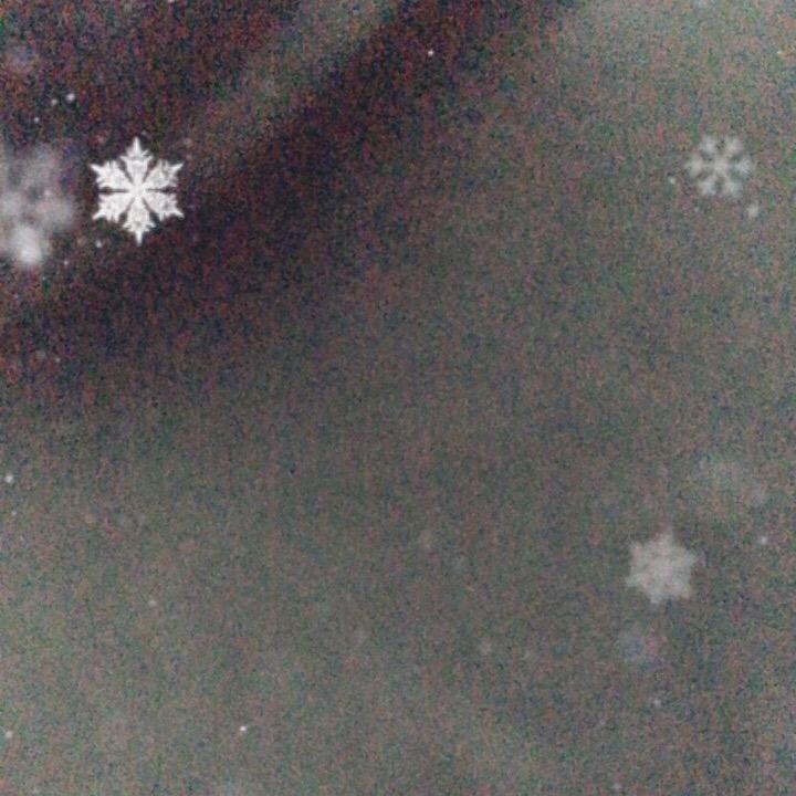 常年坚持科学课