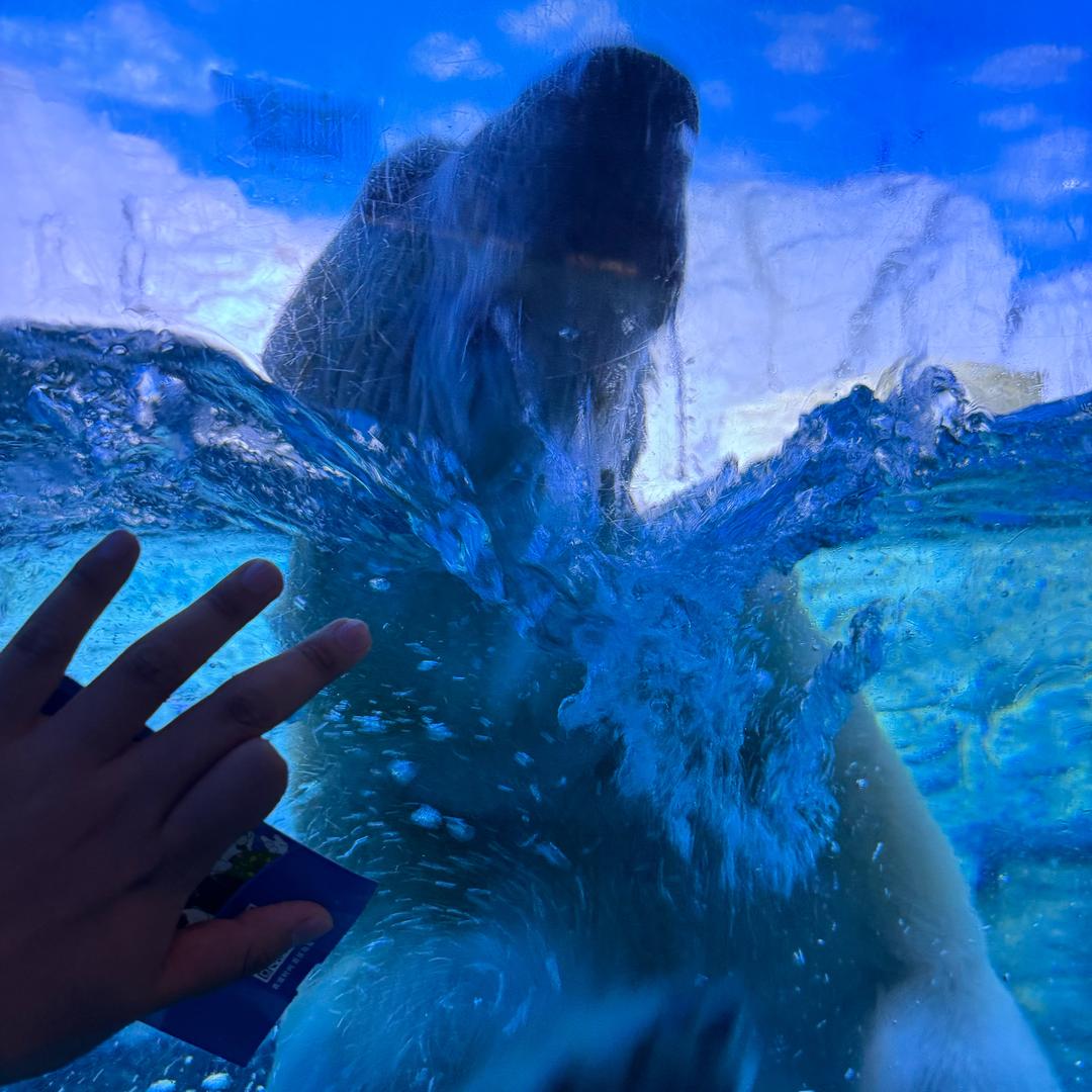 不打🎾的网球拍