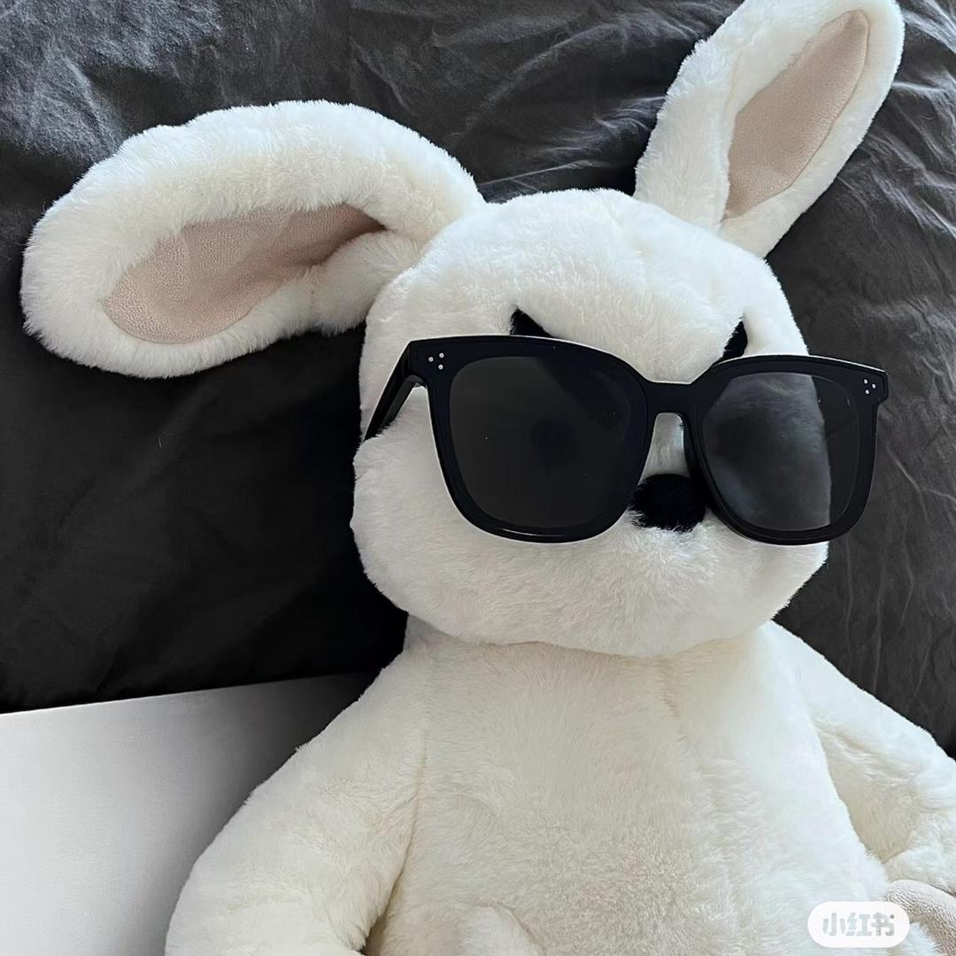 上海立信会计金融学院校园墙（升学版）