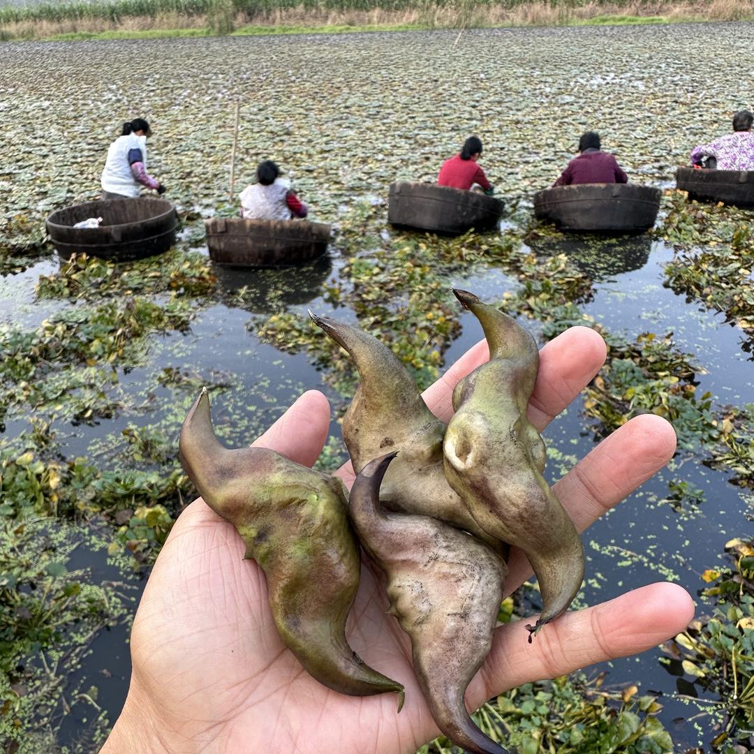 仙生鲜