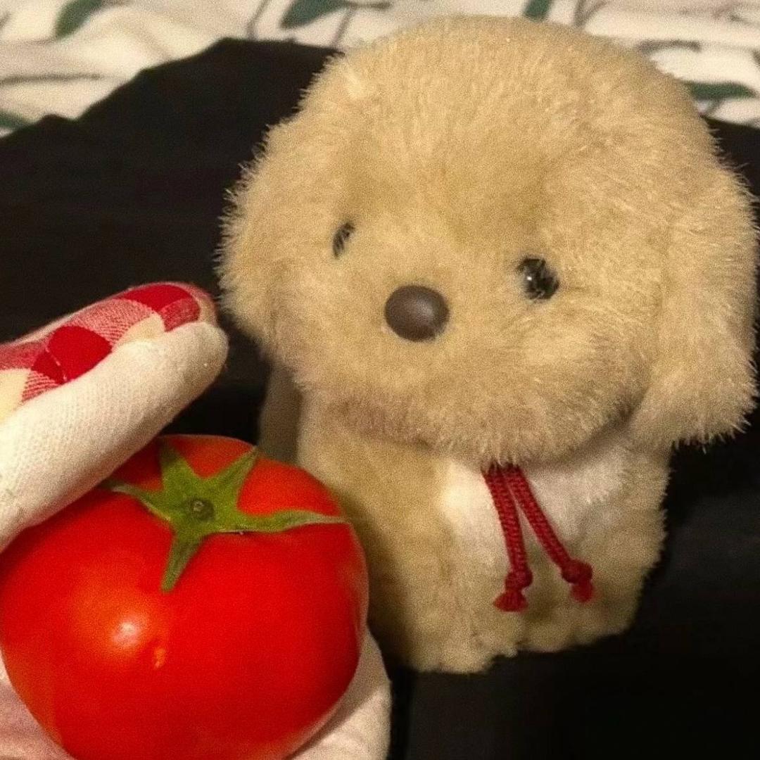 一块特立独行的饼滋