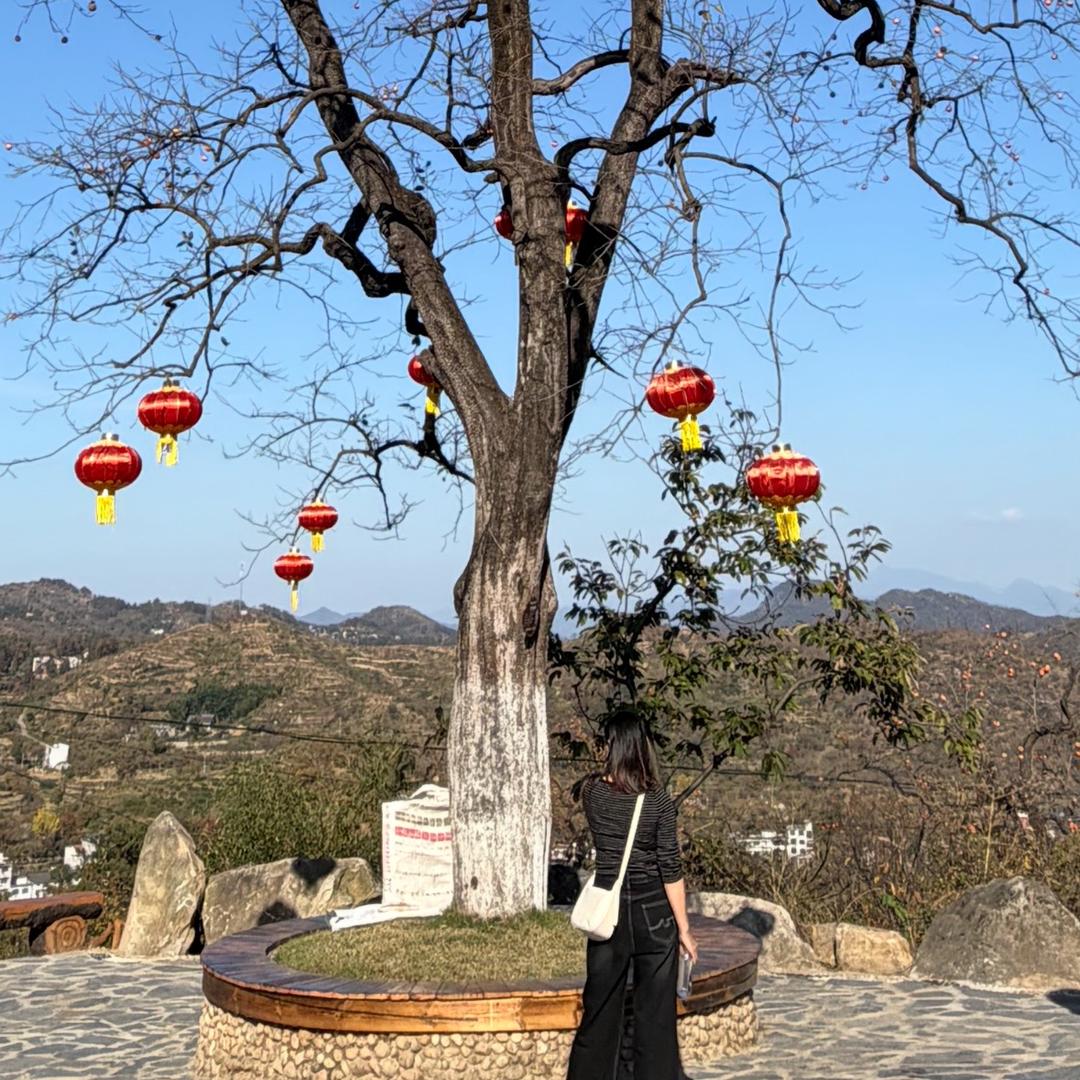 ɷʕ •ᴥ•ʔᰔᩚ