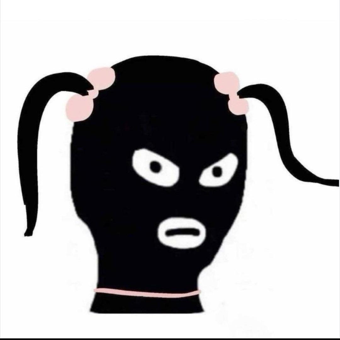 偷心盗贼