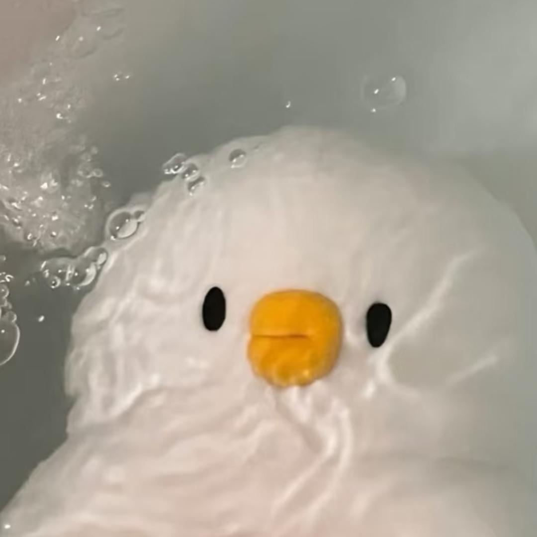 xy大王