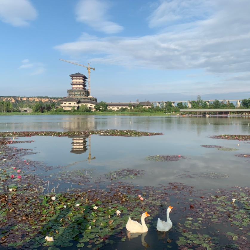 ❤️王者风范❤️