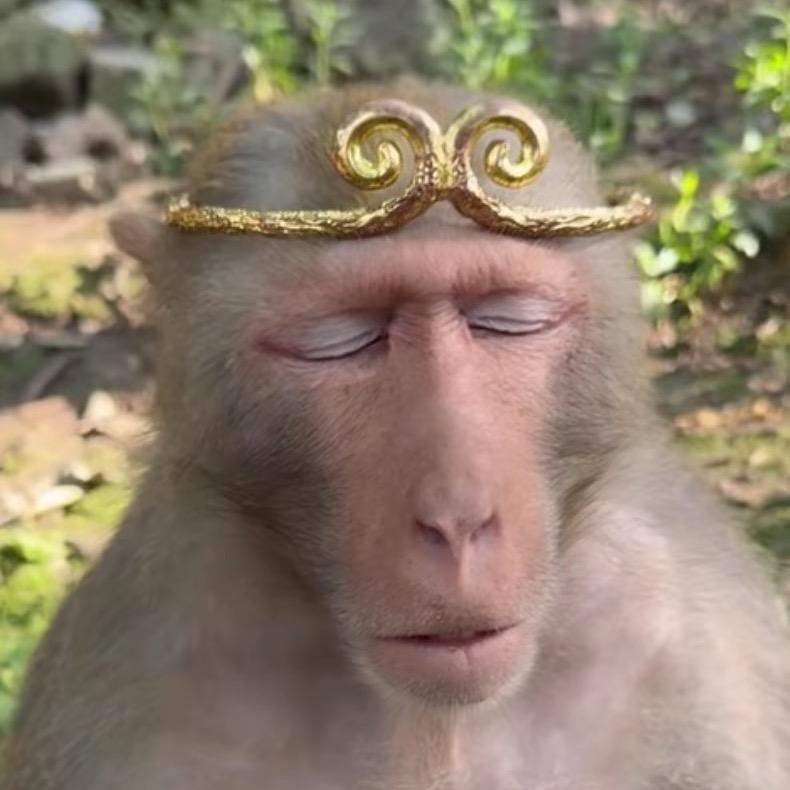 小撒过不去
