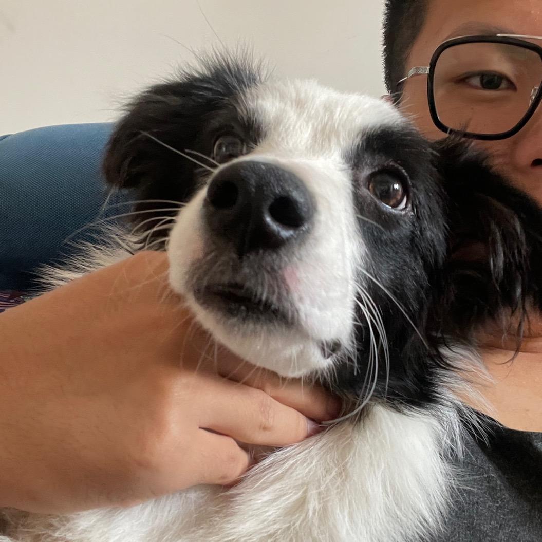 我爱钢铁侠