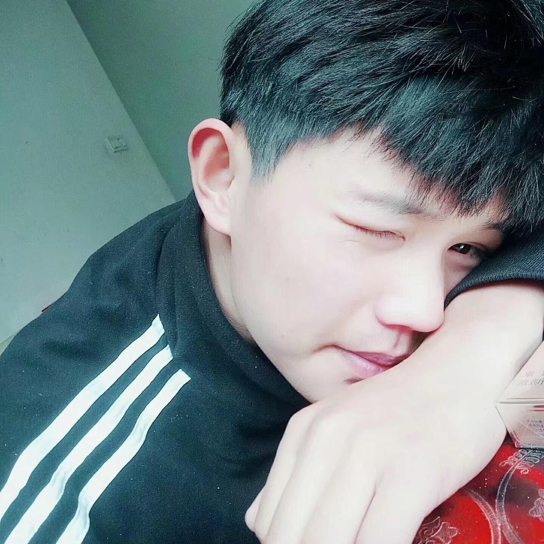 小熊乱拍