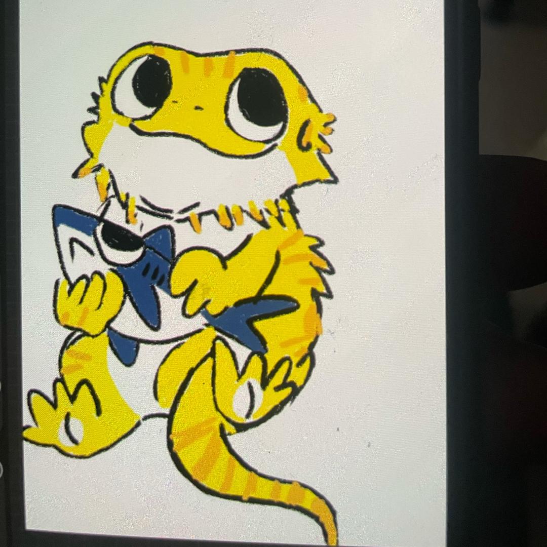 永恒的追逐者