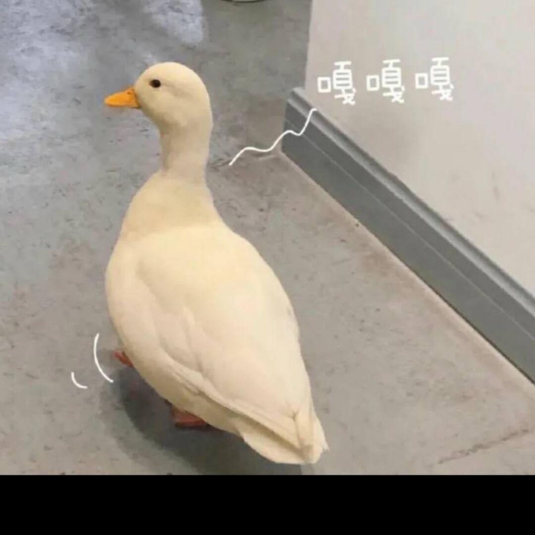 Ram