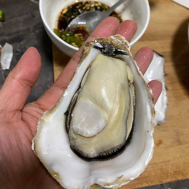仙庵『生蚝』零售批发