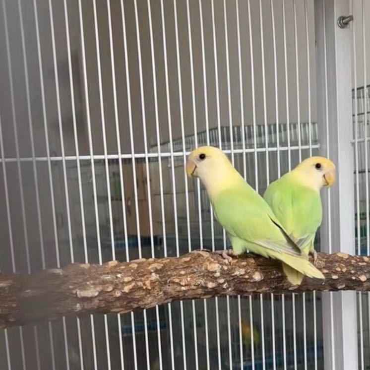 晴天☀️