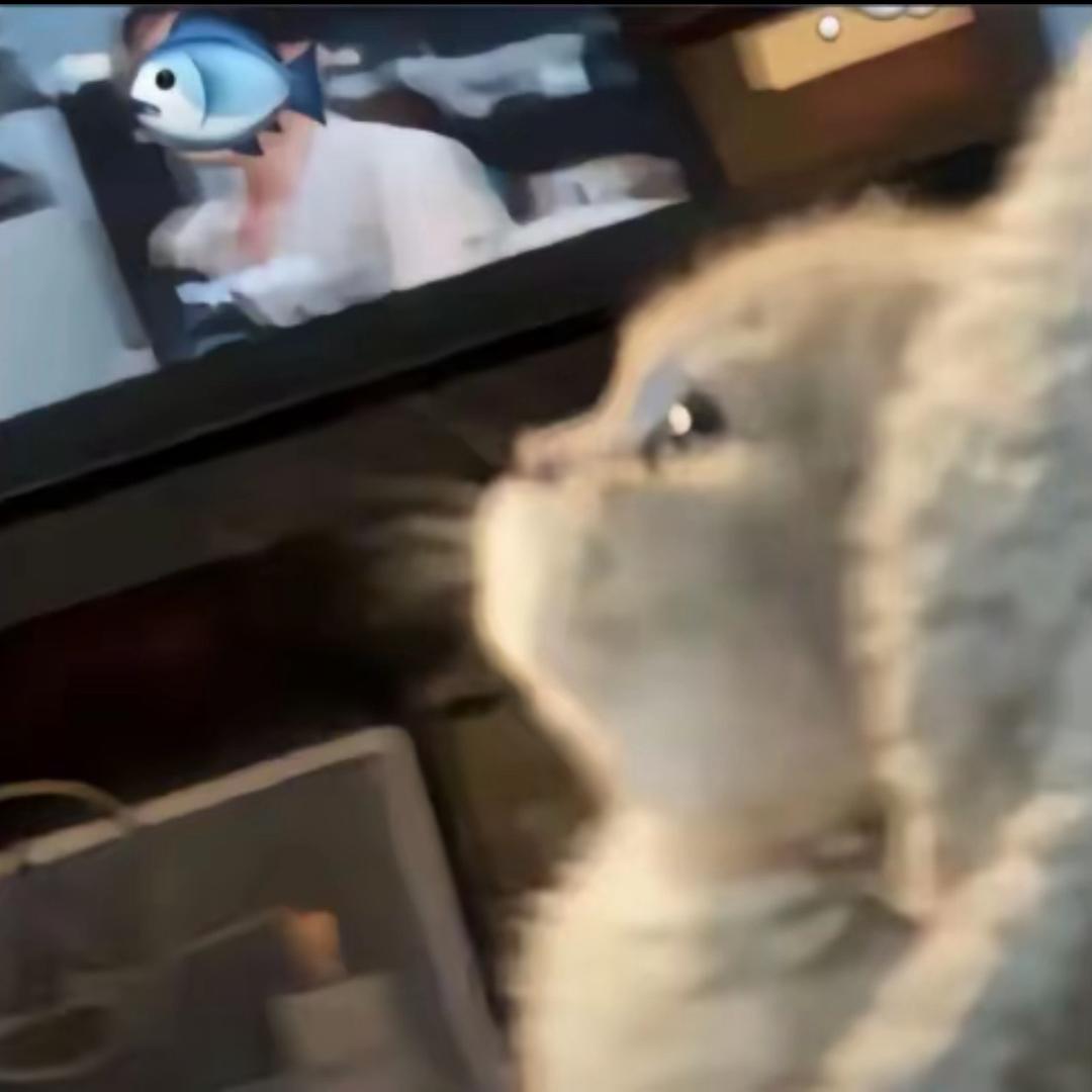 心心