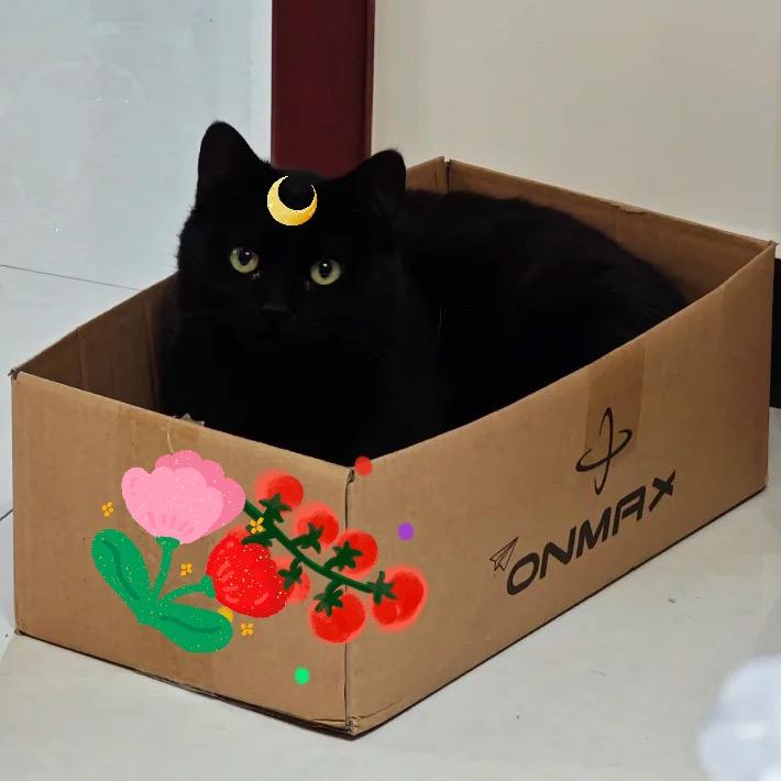 🐈‍⬛露娜的女壮士💪