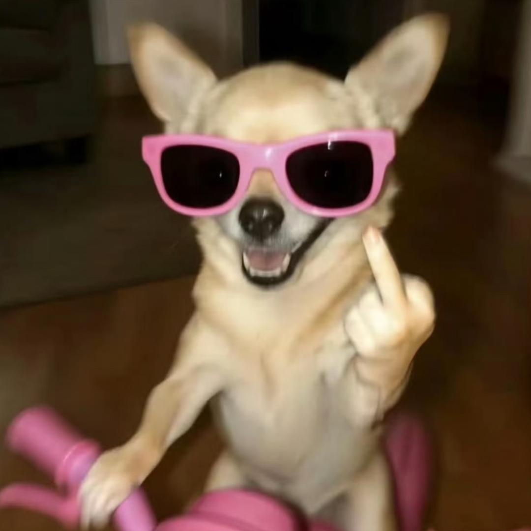 性感火热母蟑螂