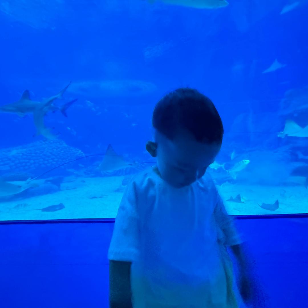 小锟锟