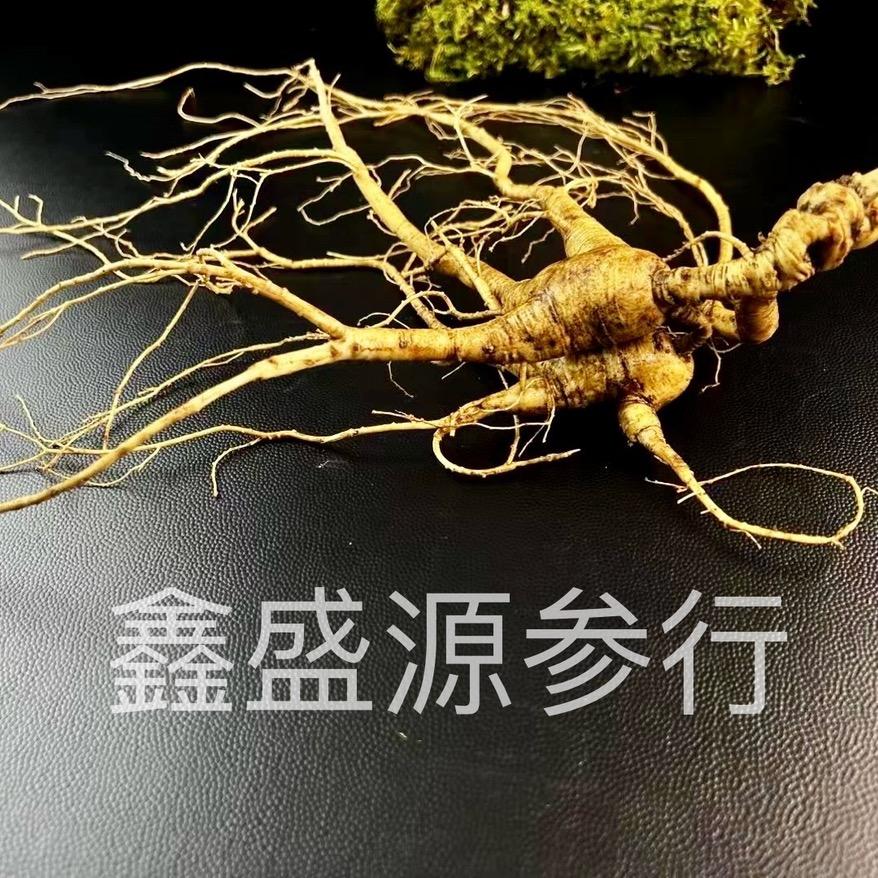 鑫盛源参行