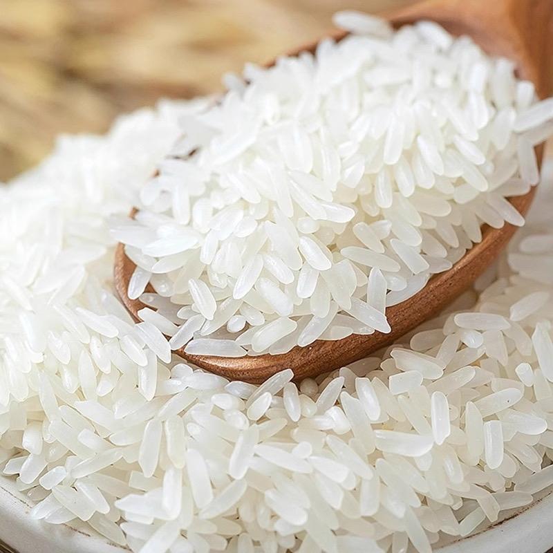 江水大米🌾厂家直销