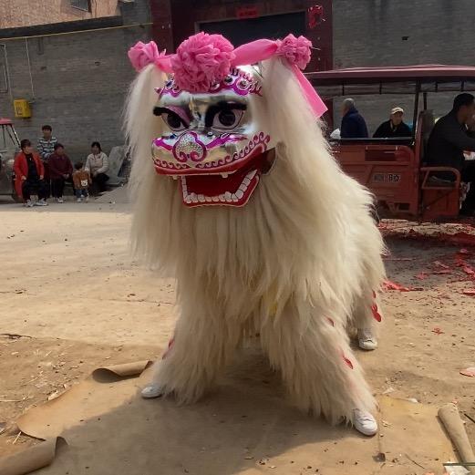 河南濮阳专业小白狮（小武醉酒）